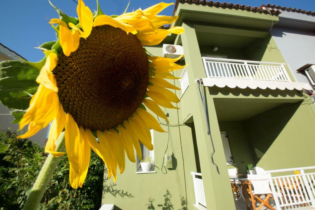 Villa Marietta'S Townhouse Argostoli  Exterior foto